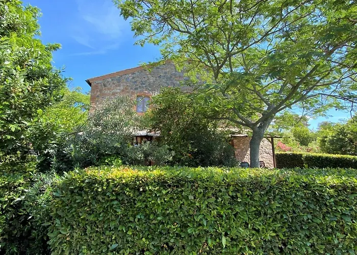 Orso By Interhome Riparbella